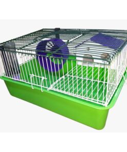 COMBOS - HAMSTERA SIMPLE - COMPLETA