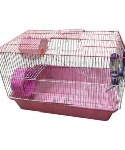 COMBOS - HAMSTERA GRANDE - COMPLETA